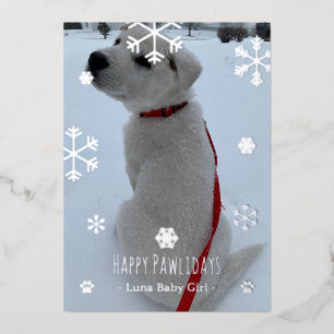 Happy Pawlidays