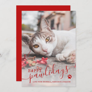 Happy Pawlidays Cat Photo Pet Red Christmas Holid Holiday Card