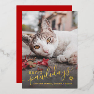 Happy Pawlidays Cat Photo Pet Red Christmas Real