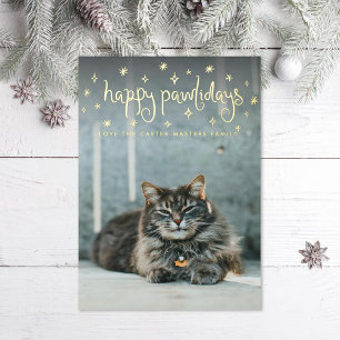 Happy Pawlidays Fun Stars Cat Photo