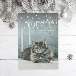 Happy Pawlidays Fun Stars Cat Photo Holiday Card