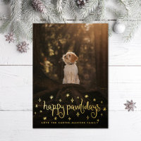 Happy Pawlidays Fun Stars Dog Photo