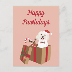 Happy Pawlidays Maltipoo Christmas Present Postcard