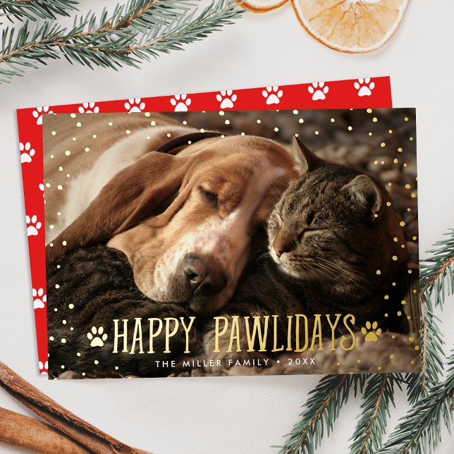 Happy Pawlidays Pet Photo (Creator Uploaded)
