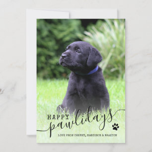 Happy Pawlidays Puppy Photo Modern Pet Christmas Holiday Card