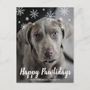 Happy Pawlidays Snowflakes Dog Photo Christmas Holiday Postcard