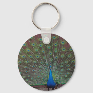 happy peacock key ring
