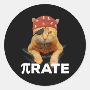 Happy Pi Day 3.14 Pi Symbol Cat Pirate Classic Round Sticker
