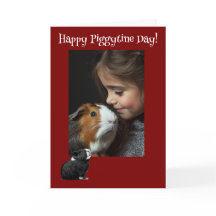 Happy Piggytine's Day Guinea Pig Valentine
