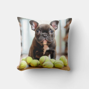 🐕 Happy Pinscher Pup with Tennis ball Cushion