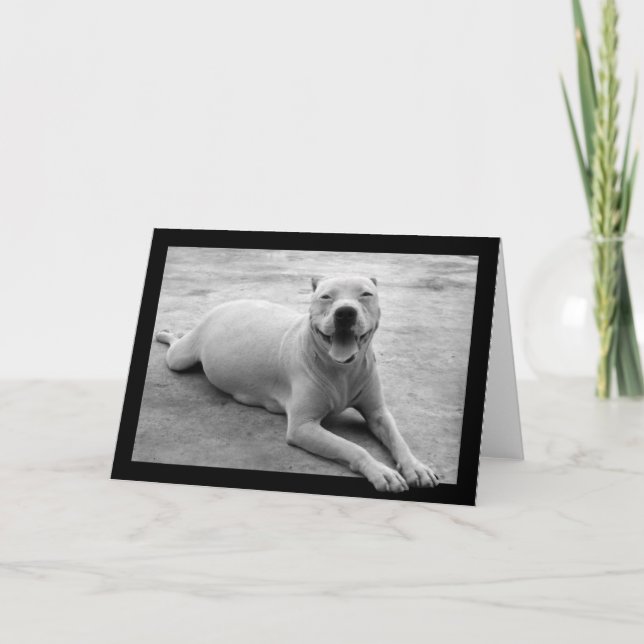 Happy pitbull greeting card (Front)