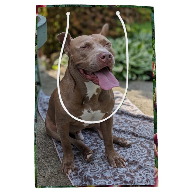 Happy Pitbull with Flowers Photography  Medium Gift Bag (Front)