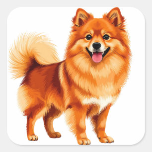 Happy Pomeranian Dog Square Sticker
