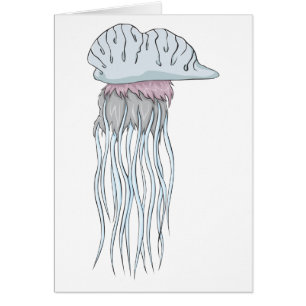 Happy Portuguese Man Of War Marine Invertebrate