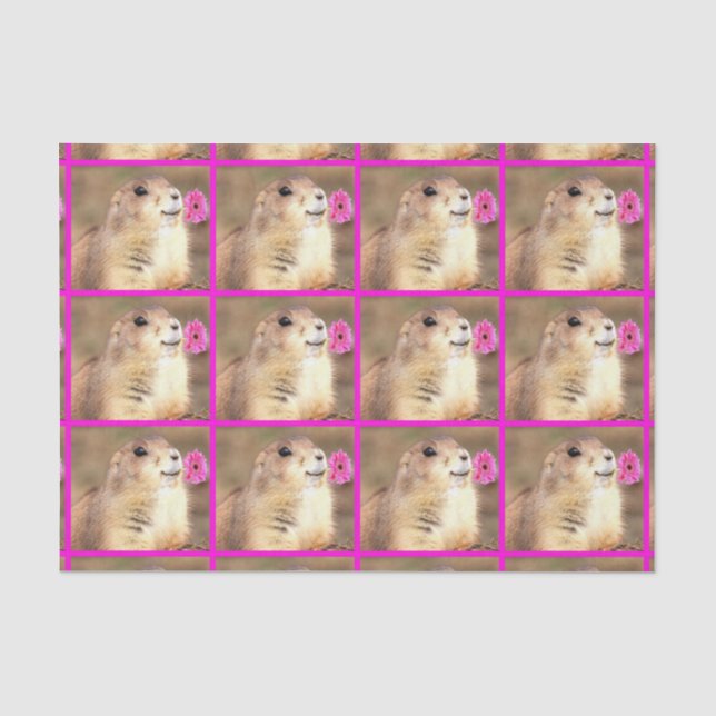 Happy Praire dog tissue paper (Front)