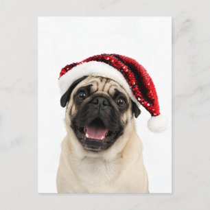 Happy Pug Wearing Sparkly Red Santa Hat Christmas Holiday Postcard