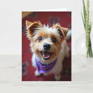 Happy Puppy Bandanna Birthday Card