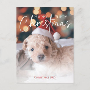 Happy Puppy Christmas photo Postcard