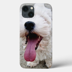 Happy Puppy white dog, malteese, maltipoo. iPhone 13 Case