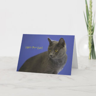 Happy Purr Day Russian Blue by Focus for a Cause Card
