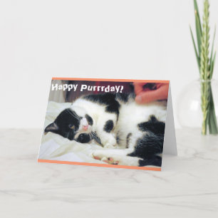 Happy Purrrday Cat Card