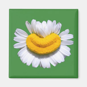 Happy Radiant Chamomile Smile Magnet