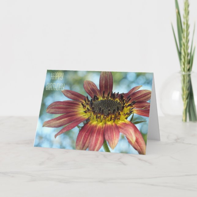 Happy Red Sunflower Birthday Card (Front)