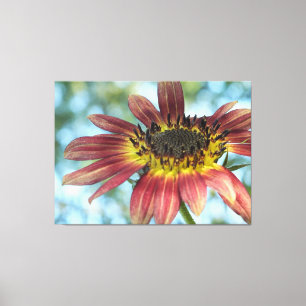 Happy Red Sunflower Wrapped Canvas Print