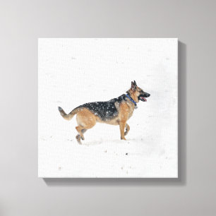 Happy Rescued German Shepherd Dog In Snow Canvas Print