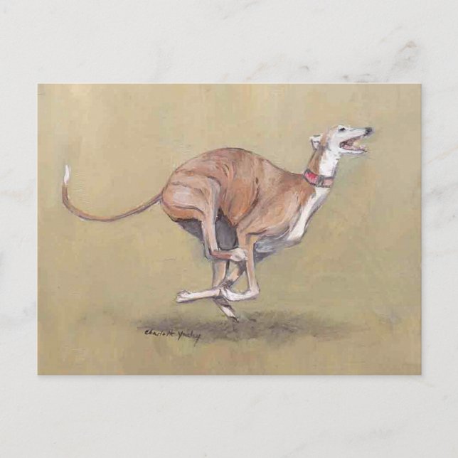 Happy Running Greyhound Dog Art Postcard (Front)
