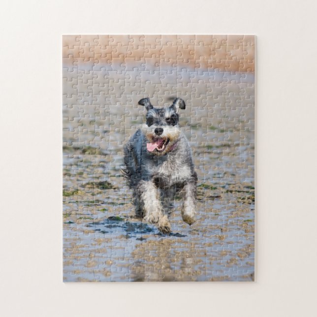 Happy Schnauzer Running On Beach Jigsaw Puzzle (Vertical)