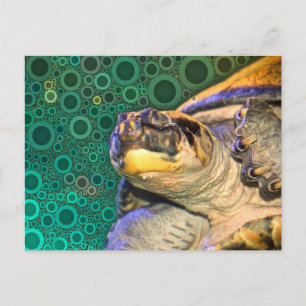 Happy Sea Turtle Postcard