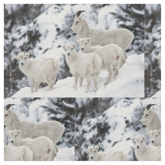 Happy Sheep Family Fabric (Close Up)