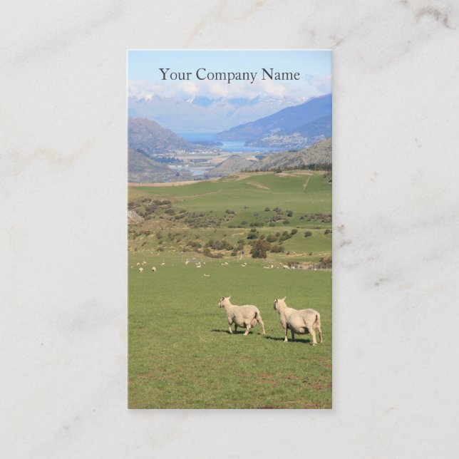 Happy Sheep in Field Photograph - Business Card (Front)