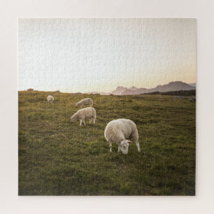 Happy Sheep Jigsaw Puzzle