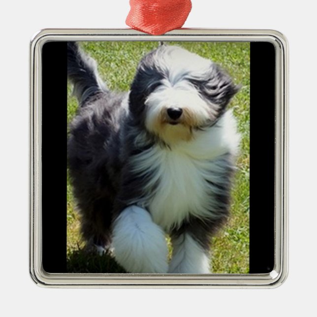 HAPPY SHEEPDOG CHRISTMAS ORNAMENT (Front)