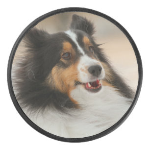Happy Shelty Hockey Puck