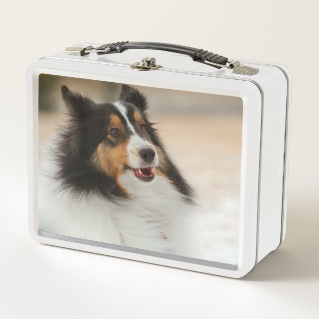 Happy Shelty Metal Lunch Box (Front)