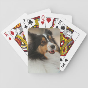 Happy Shelty  Playing Cards