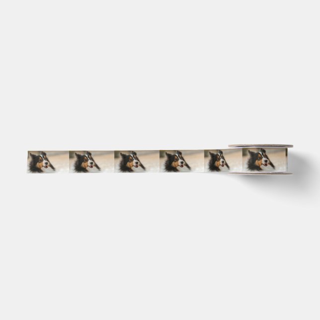 Happy Shelty Satin Ribbon (Front)