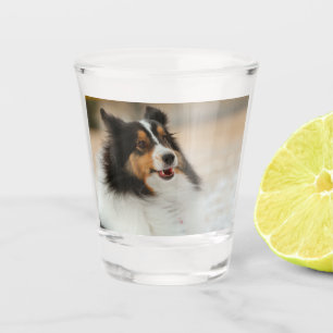 Happy Shelty Shot Glass
