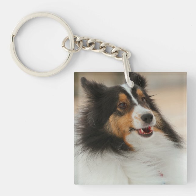 Happy Shelty   Soccer Ball Key Ring (Front)