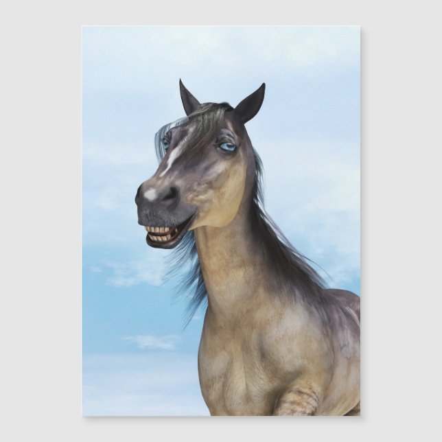 Happy Smiling Grulla Horse (Front)