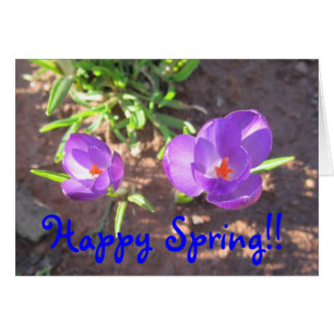 Happy Spring