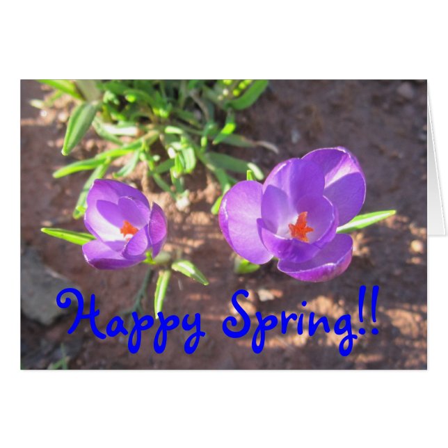 Happy Spring (Front Horizontal)