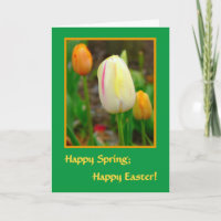 Happy Spring; HappyEaster! SPRING TULIPS
