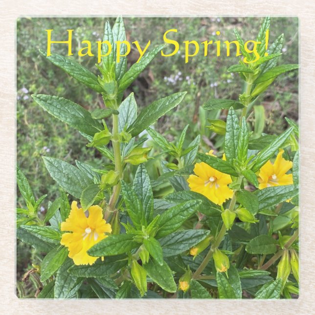 Happy Spring Monkeyflowers! Glass Coaster (Front)