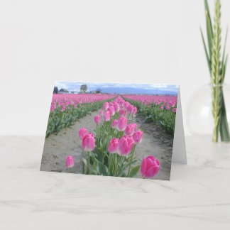 Happy Spring Pink Tulips Card