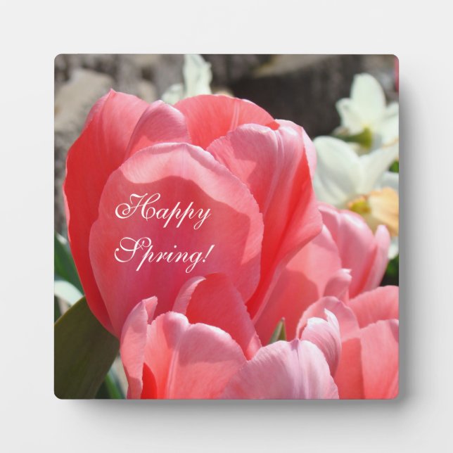 Happy Spring! plaques Pink Tulips Flowers signs (Front)