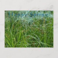 Happy Spring!